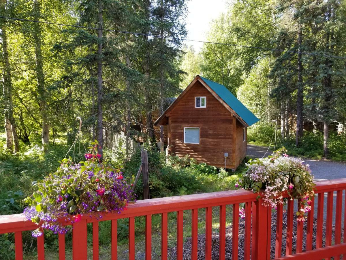 מלון Talkeetna Hideaway מראה חיצוני תמונה